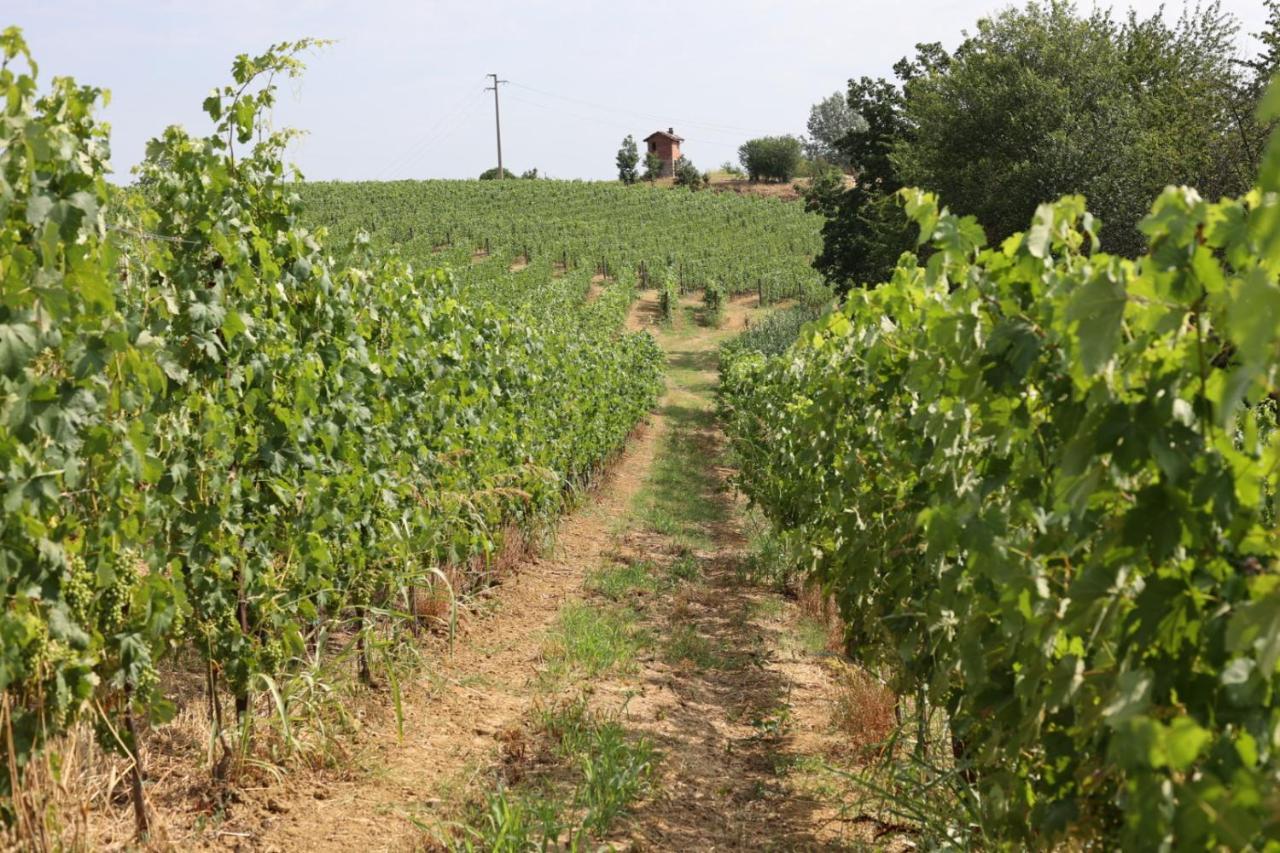Braida Wine Resort Rocchetta Tanaro Exteriér fotografie